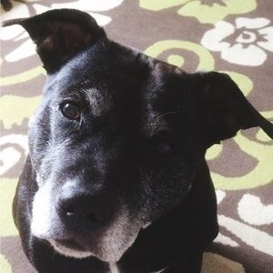 Meet your Posher, Fiona